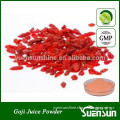 GMP factory supply freee dried Wolfberry extract powder
